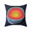 Earth Melon Pillow