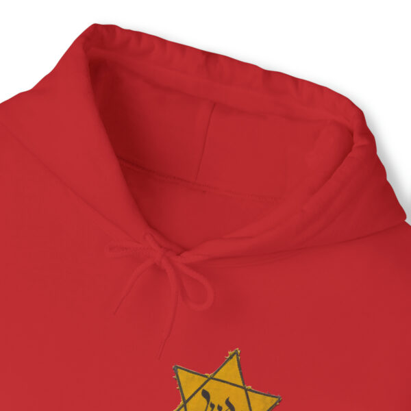 Star of David Patch pullover hooded sweatshirt - Image 149