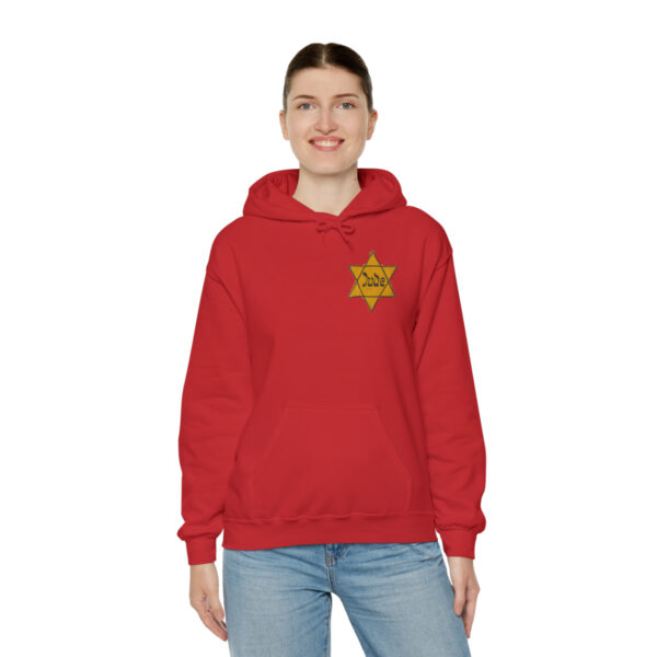 Star of David Patch pullover hooded sweatshirt - Image 152