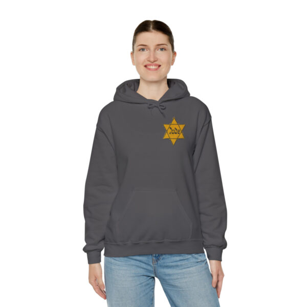 Star of David Patch pullover hooded sweatshirt - Image 100